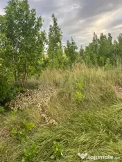 Vand teren 6300 m2 Pielesti, Dolj 