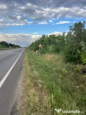 Vand teren 6300 m2 Pielesti, Dolj 