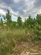 Vand teren 6300 m2 Pielesti, Dolj 