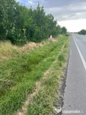 Vand teren 6300 m2 Pielesti, Dolj 