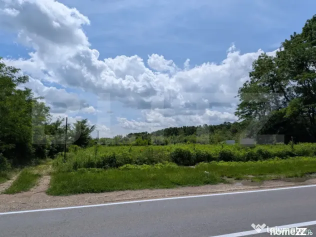Teren extravilan, 12700 mp, oportunitate de investitie, zona - Targoviste (Dambovita)