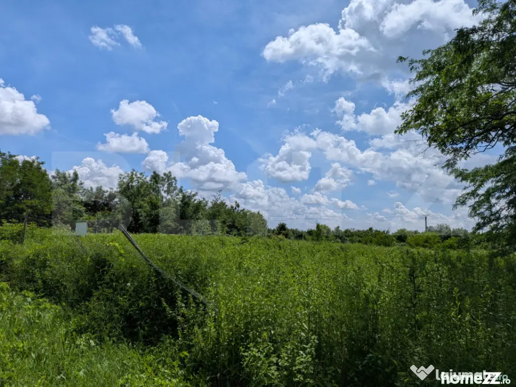 Teren extravilan, 12700 mp, oportunitate de investitie, zona - Targoviste (Dambovita)