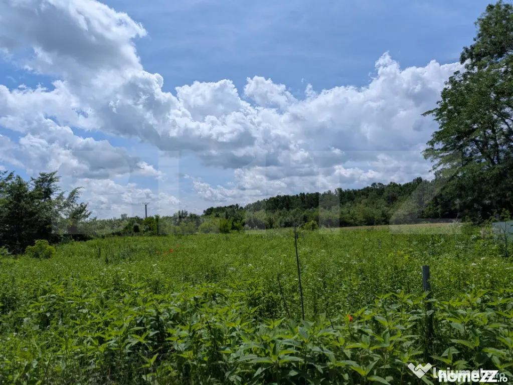 Teren extravilan, 12700 mp, oportunitate de investitie, zona - Targoviste (Dambovita)