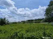Vand teren extravilan, 12700mp, in Priseaca, oportunitate de 