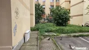 Apartament cu 2 camere de vânzare în zona Maratei