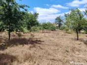 Proprietate cu 3 case și teren generos LEU , la doar 20 km 