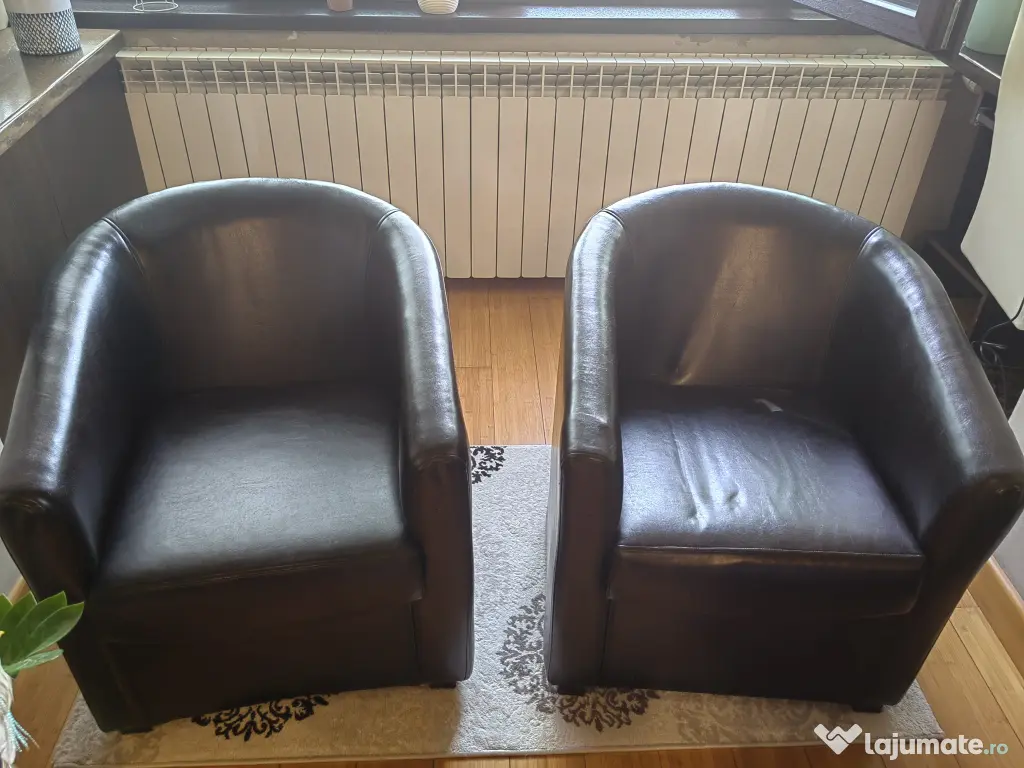Fotolii piele ecologică