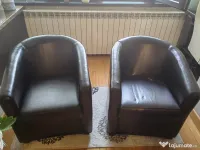 Fotolii piele ecologică 