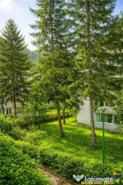 Apartament 2 camere,luminos,incadrat de liniste si verdele n 