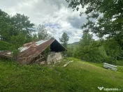 VIGAFON - Teren intravilan Telega-Prahova 