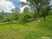 VIGAFON - Teren intravilan Telega-Prahova 