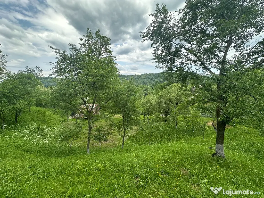 VIGAFON - Teren intravilan Telega-Prahova