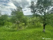 VIGAFON - Teren intravilan Telega-Prahova 