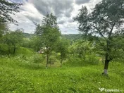 VIGAFON - Teren intravilan Telega-Prahova 
