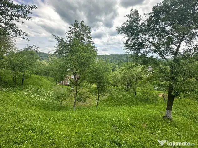 VIGAFON - Teren intravilan Telega-Prahova