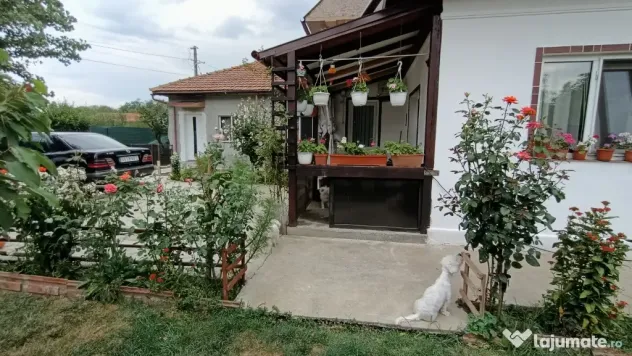 Vând casă cu teren în zona Titu