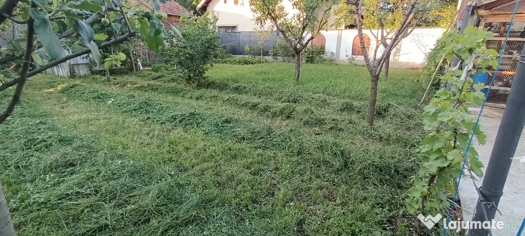 Vând casă cu teren în zona Titu