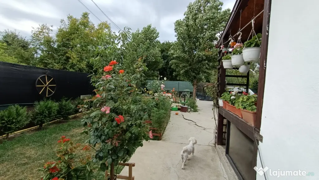 Vând casă cu teren în zona Titu