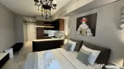 Studio Herastrau Ideal Investitie 