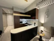 Studio Herastrau Ideal Investitie