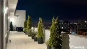 Penthouse Mihai Bravu 