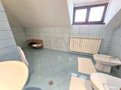 Casa Deosebita Individuala Baneasa 7 camere cu teren 