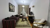 Vila Iancu Nicolae British School