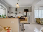 Vila moderna de I Iancu Nicolae