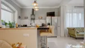 Vila moderna de I Iancu Nicolae 