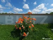 Vilă Generoasă cu 5 Camere și Livadă pe Rod în Valea Vo