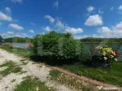 Vilă Generoasă cu 5 Camere și Livadă pe Rod în Valea Vo