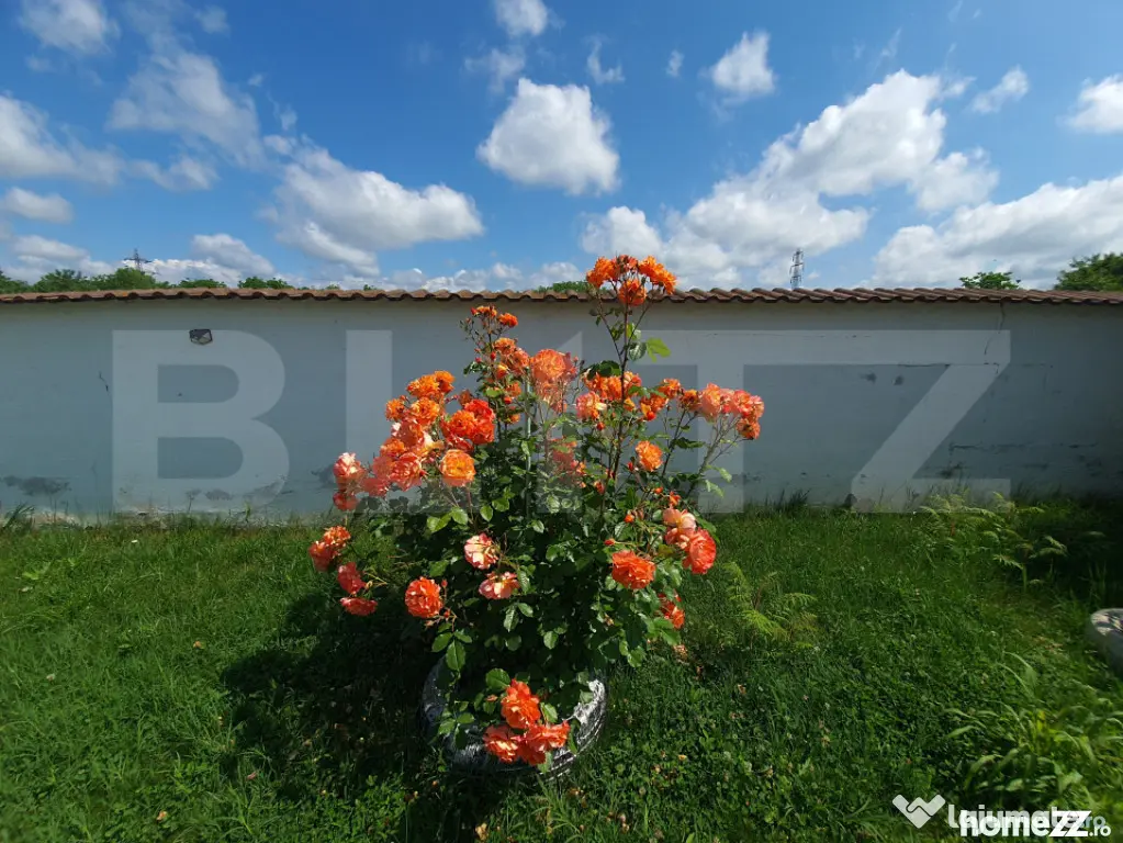 Vilă cu 5 camere, 280 mp, livadă pe rod, zona Valea Voievo