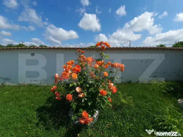 Vilă cu 5 camere, 280 mp, livadă pe rod, zona Valea Voievo