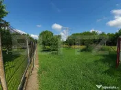 Vilă Generoasă cu 5 Camere și Livadă pe Rod în Valea Vo