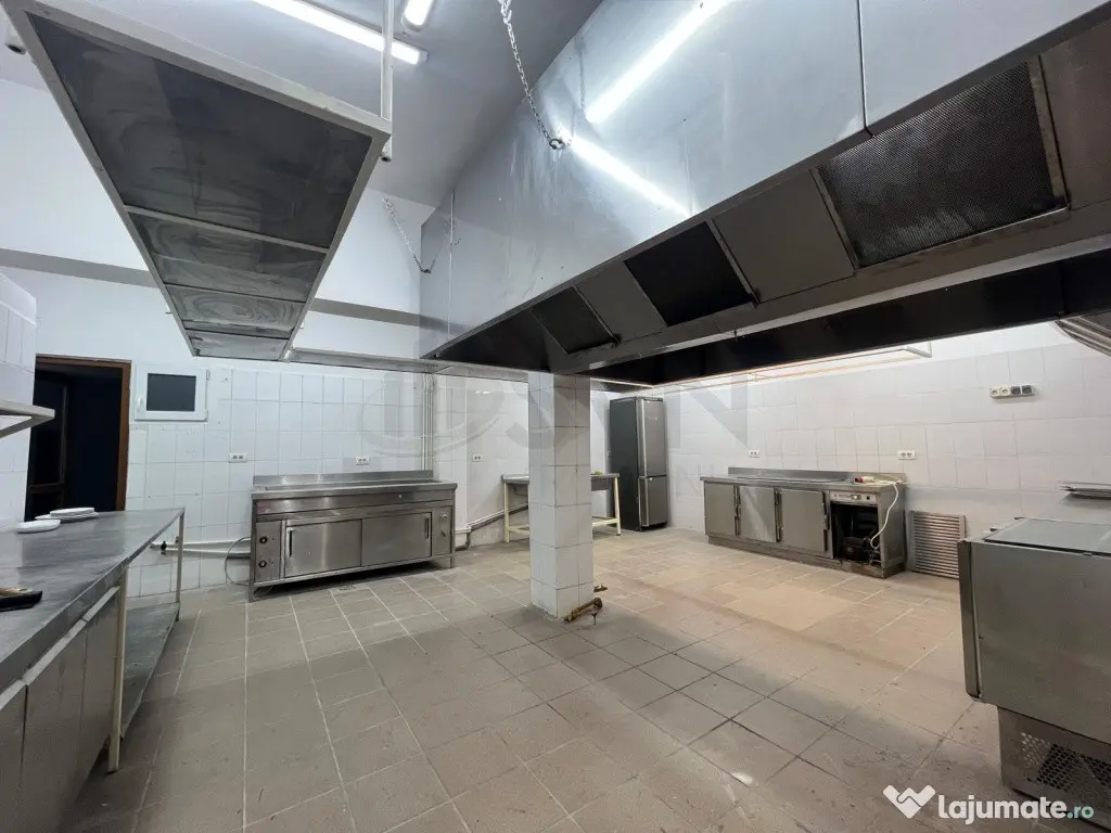 Locatie ultracentrala langa Piata Victoriei pretabila res...