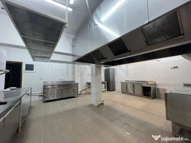 Locatie ultracentrala langa Piata Victoriei pretabila res...