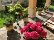 Casa 5 camere, 320mp, zona Buna Ziua