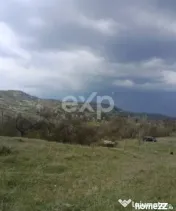 Teren extravilan de vânzare Tigveni | 4.944 mp | Panoramă 