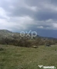 Teren extravilan de vânzare Tigveni | 4.944 mp | Panoramă 