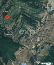 Teren extravilan de vânzare Tigveni | 4.944 mp | Panoramă 