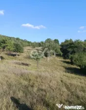 Teren extravilan de vânzare Tigveni | 4.944 mp | Panoramă 