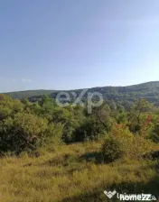 Teren extravilan de vânzare Tigveni | 4.944 mp | Panoramă 