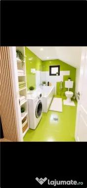 Vila Individuala - 5 camere - 3 bai - 424mp teren