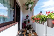 Apartament renovat cu 2 camere Micalaca etaj 3 Comision 0 