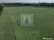 Teren intravilan 50000 mp, cu PUZ, Aprobat - zona Halchiu... 