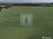 Teren intravilan 50000 mp, cu PUZ, Aprobat - zona Halchiu... 