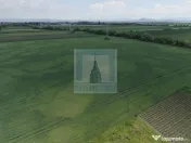 Teren intravilan 50000 mp, cu PUZ, Aprobat - zona Halchiu... 