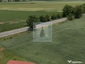 Teren intravilan 50000 mp, cu PUZ, Aprobat - zona Halchiu... 