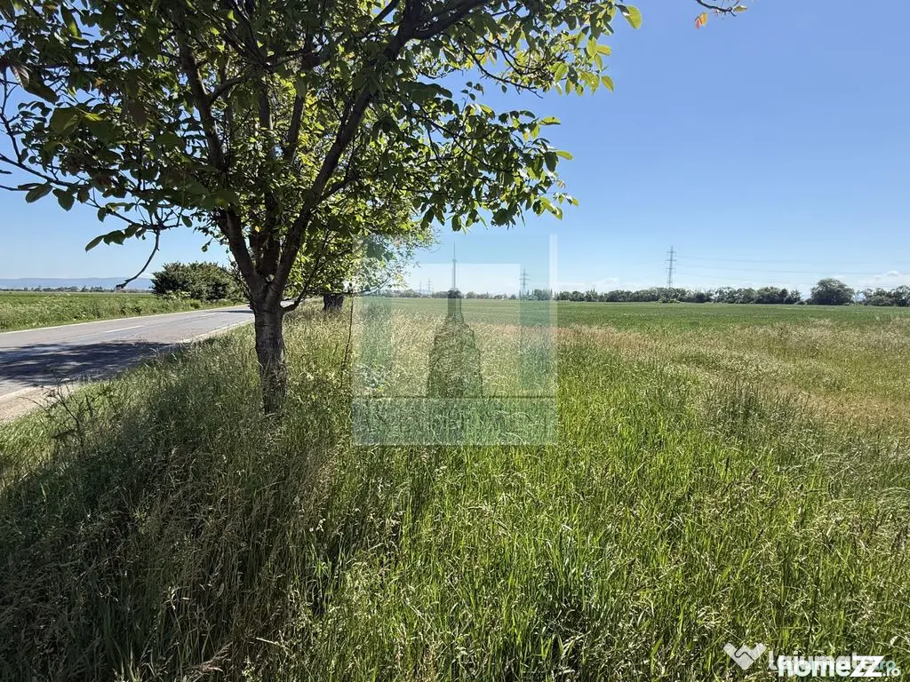 Teren intravilan 50000 mp, cu PUZ, Aprobat - zona Halchiu...