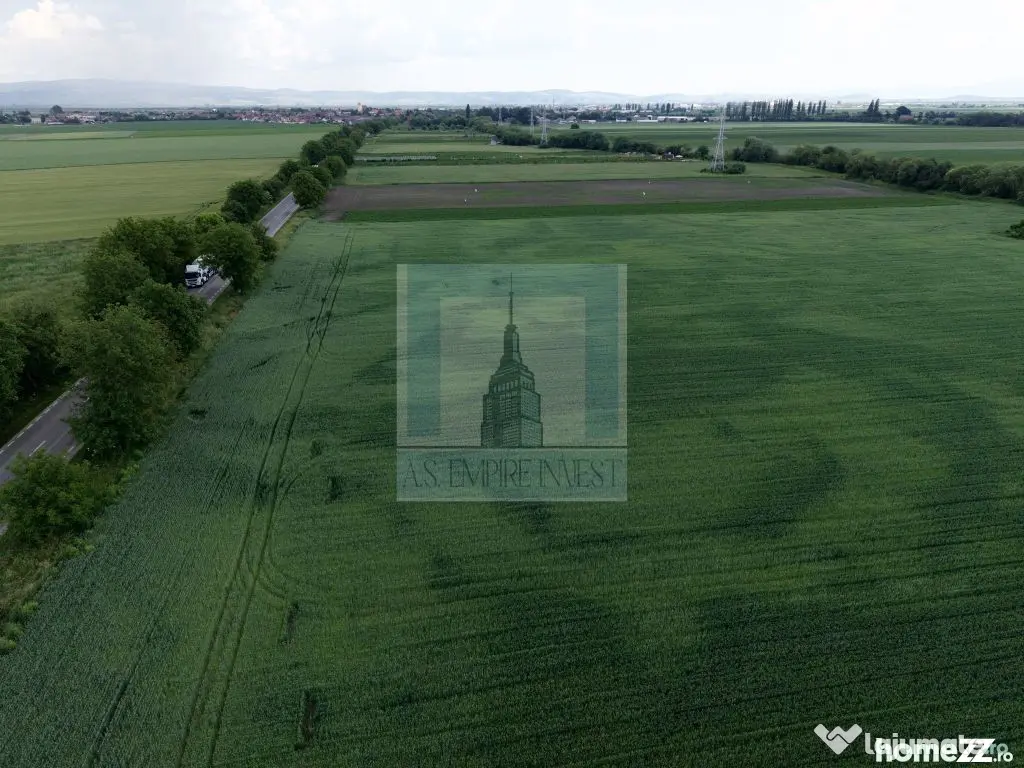 Teren intravilan 50000 mp, cu PUZ, Aprobat - zona Halchiu...